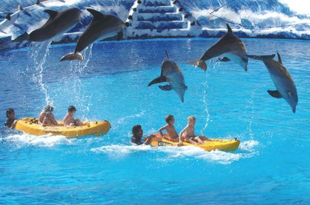 Cometa Center Benidorm Exterior photo